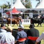 Comenzó la 17° edición de la ExpoBra en el vivero San Carlos