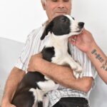 Concretaron un nuevo operativo de castraciones de mascotas