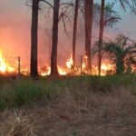 Robles: Incendio de pastizales generó preocupación en pobladores de la zona de La Florida