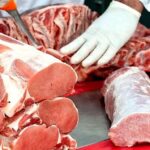 Carne de cerdo: una opción saludable para iniciar el año