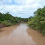 Hito científico: Investigación de la UNSE sobre el Gran Chaco fue publicado en una prestigiosa revista científica