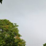 El alivio esperado: El viento y la lluvia prometen ponerle fin a una jornada sofocante en el departamento Robles