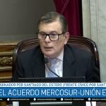 Entre el “Hecho Histórico” y la Alerta Federal: El Equilibrio de Zamora frente al Acuerdo Mercosur-UE