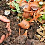 Compostaje: una alternativa sustentable para reducir la basura domiciliaria