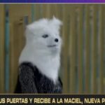 Revolución en Gran Hermano 2026: entró “La Maciel”, la primera participante que se percibe “therian”