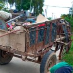 Rescate en Las Termas: secuestran un caballo por brutal maltrato en plena vía pública