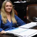 Mientras viajar cuesta más, una diputada libertaria admitió el uso de pasajes oficiales para su hijo