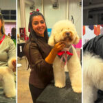 Orgullo local: Geraldine Paz y su equipo brillaron en la Expo Star Groom Copa Argentina