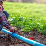 Este viernes Fernández será sede de la 17ª Jornada Internacional de Fertirriego y Uso Eficiente del Agua
