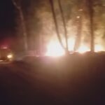 Alerta en Fernández: Bomberos y personal municipal combaten un foco ígneo en la zona sur
