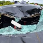 Dos tucumanos resultaron gravemente heridos tras chocar su automóvil contra una vaca en la Ruta 34